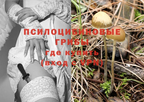 прущий лед Пересвет